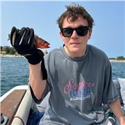 profesor de apoyo escolar y estudiante de economía en la universidad Complutense de Madrid